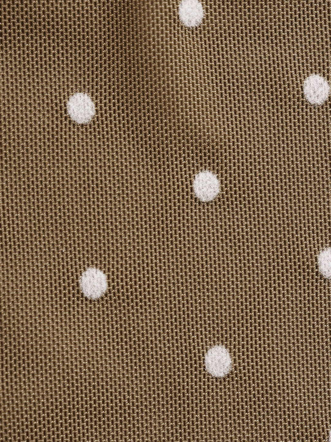 Coffee Contrast Polka Dot Mesh Bikini Set